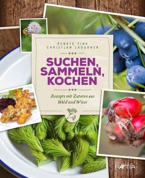 Cover for Fink · Suchen, Sammeln, Kochen (Bog)