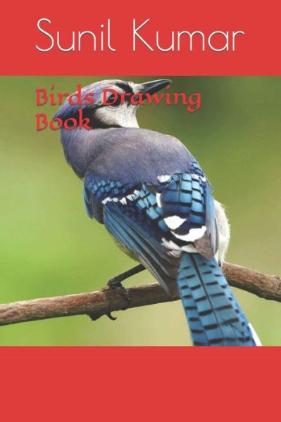 Birds Drawing Book - Sunil Kumar - Livros - Independently Published - 9798422927210 - 25 de fevereiro de 2022