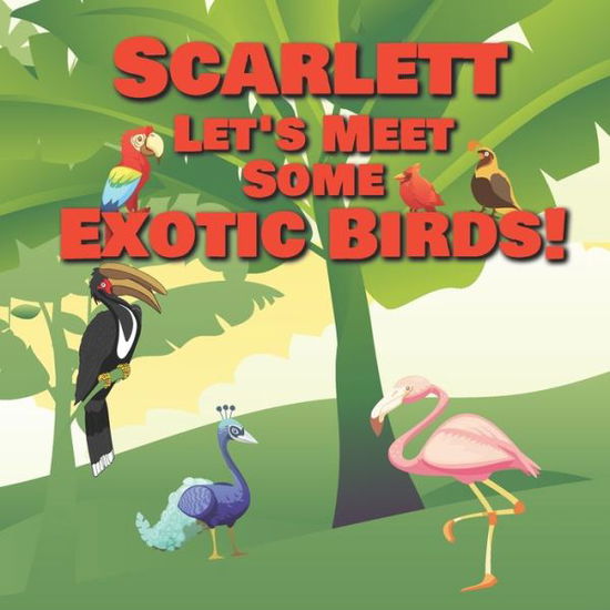 Cover for Chilkibo Publishing · Scarlett Let's Meet Some Exotic Birds! (Paperback Bog) (2020)