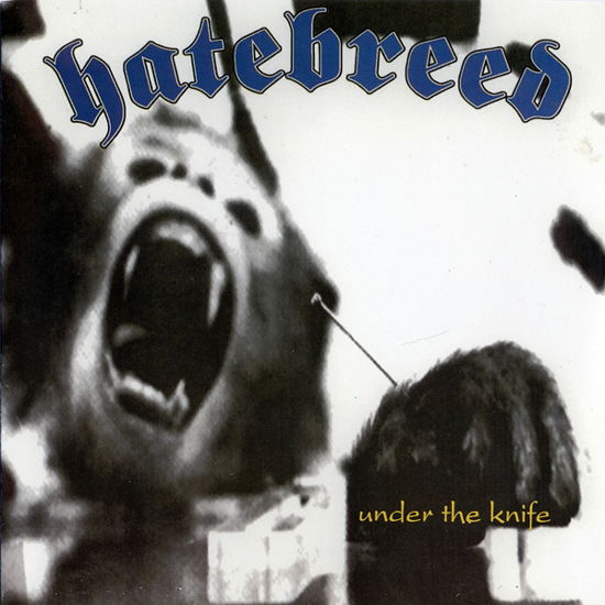Cover for Hatebreed · Under the Knife (Half Red / Half Purple Vinyl) (7&quot;) (2022)