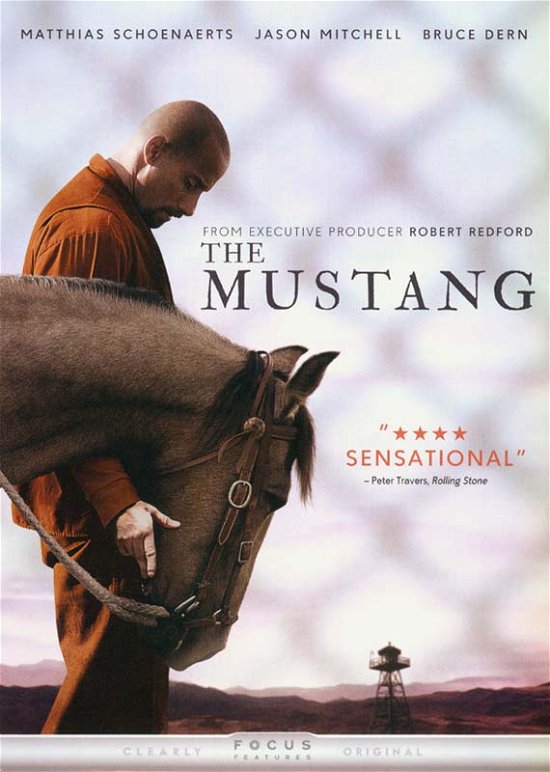 Cover for Mustang (DVD) (2019)
