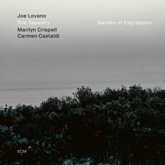 Cover for Joe -Trio Tapestry- Lovano · Garden of Expression (CD) (2021)