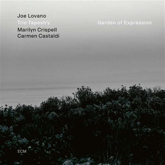 Garden Of Expression - Joe Lovano - Music - ECM - 0602435187211 - January 29, 2021