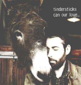 Cover for Tindersticks · Can Our Love (LP) (2001)