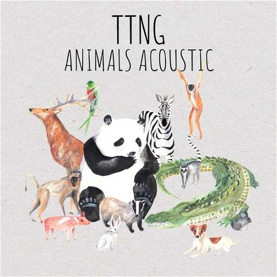 Ttng · Animals Acoustic (LP) (2018)