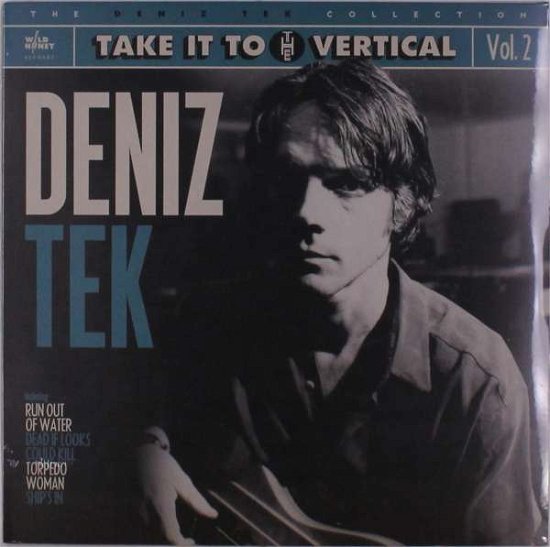 Take It To The Vertical - Deniz Tek - Música - WILD HONEY - 0664213633211 - 19 de março de 2023