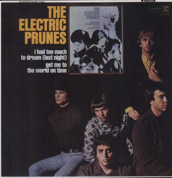 Had Too Much to Dream - Electric Prunes - Music - HIHO - 0725543974211 - March 19, 2013