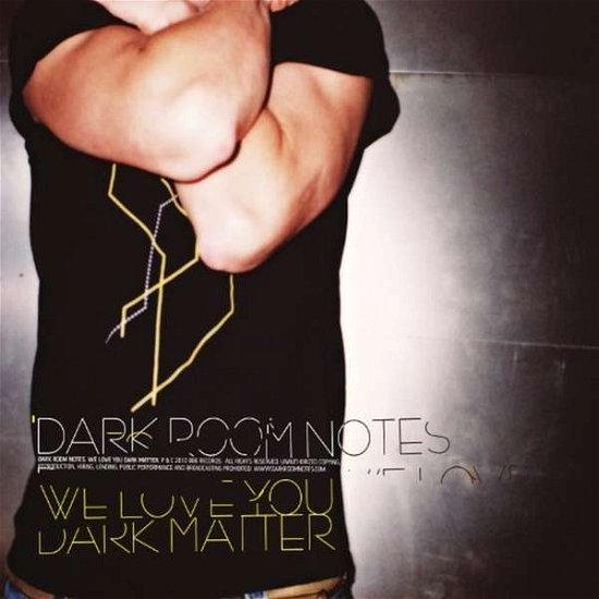 Cover for Dark Room Notes · We Love You Dark Matter (LP) (2010)
