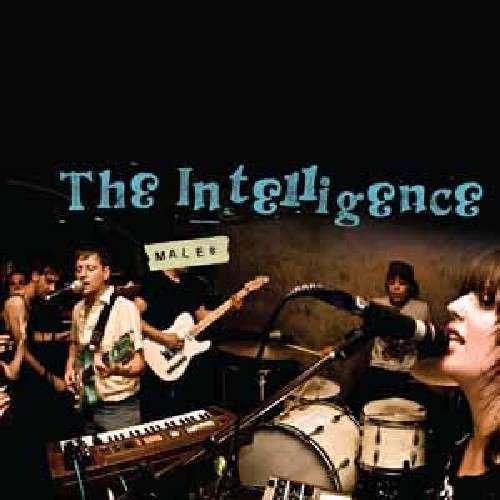Cover for Intelligence · Males (LP) (2010)