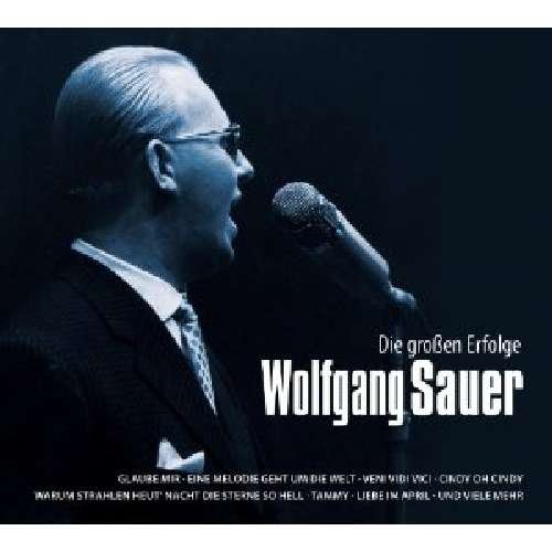 Cover for Wolfgang Sauer · W.Sauer - Die Großen Erfolge (CD) (2013)