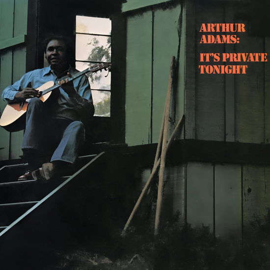 Cover for Arthur Adams · It's Private Tonight (LP) [Coloured edition] (2024)