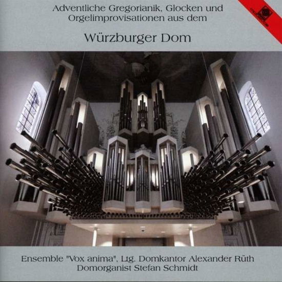 Adventlische Gregorianik Aus Dem Wurzburger Dom - Gregorian Chant - Musiikki - MOTETTE - 4008950509211 - sunnuntai 14. tammikuuta 2001