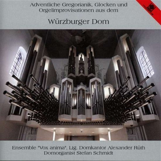 Adventlische Gregorianik Aus Dem Wurzburger Dom - Gregorian Chant - Music - MOTETTE - 4008950509211 - January 14, 2001