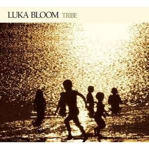 Cover for Luka Bloom · Tribe (LP) [Limited edition] (2007)