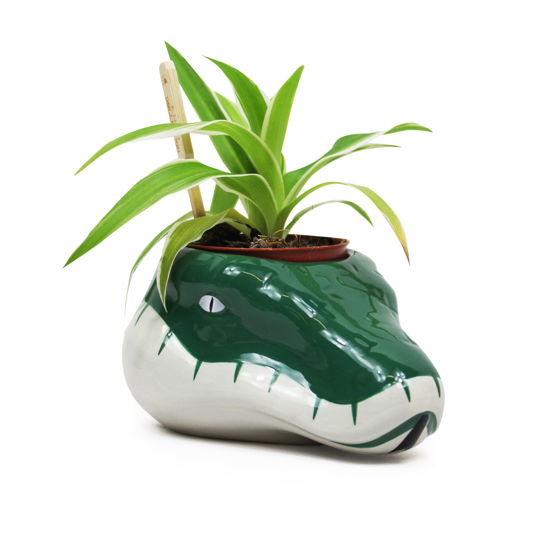 Cover for P.Derive · HARRY POTTER - Slytherin - Plant Pot (MERCH)