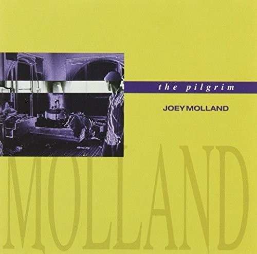 Pilgrim - Joey Molland - Musique - PHD MUSIC - 5060230864211 - 13 août 2015