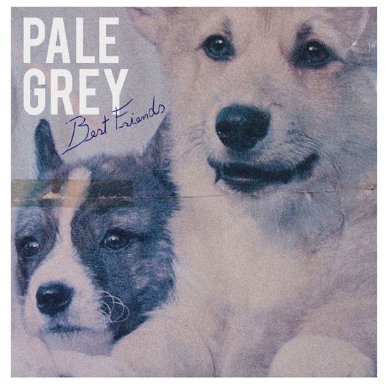 Cover for Pale Grey · Best Friends (CD) (2014)