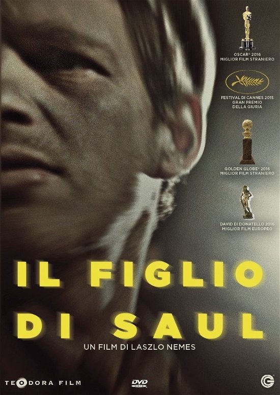 Cover for Figlio Di Saul (Il) (DVD) (2016)
