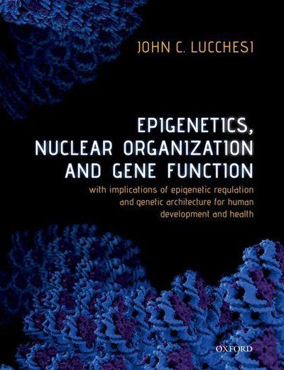 Cover for Lucchesi, John C. (Asa Griggs Candler Professor Emeritus, Asa Griggs Candler Professor Emeritus, Department of Biology, Emory University, Atlanta GA, USA) · Epigenetics, Nuclear Organization &amp; Gene Function: With implications of epigenetic regulation and genetic architecture for human development and health (Paperback Bog) (2019)