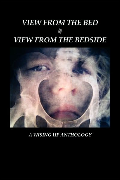 Cover for Heather Tosteson · View from the Bed: View from the Bedside (Paperback Book) (2010)