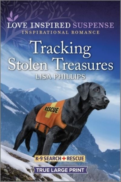 Cover for LIsa Phillips · Tracking Stolen Treasures (Bog) (2023)