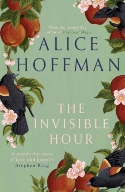 Cover for Alice Hoffman · The Invisible Hour (Paperback Bog) (2024)
