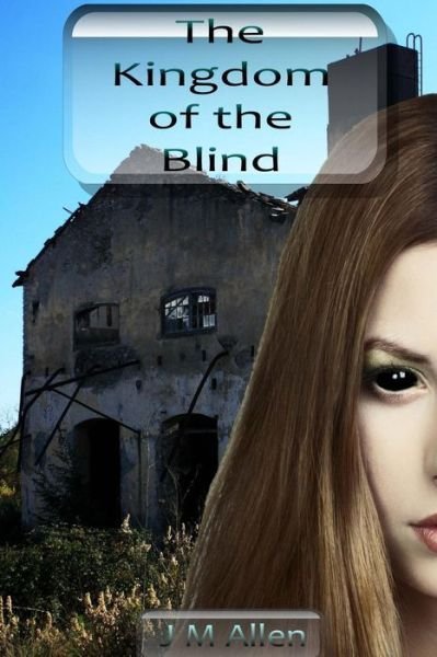 Cover for J M Allen · The Kingdom of the Blind (Pocketbok) (2014)