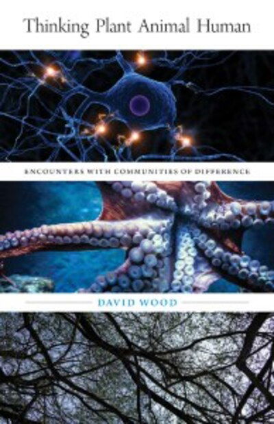 Cover for David Wood · Thinking Plant Animal Human: Encounters with Communities of Difference - Posthumanities (Innbunden bok) (2020)