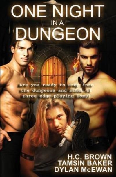 Cover for H C Brown · One Night in a Dungeon (Paperback Book) (2016)