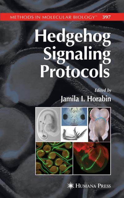 Cover for Jamila I Horabin · Hedgehog Signaling Protocols - Methods in Molecular Biology (Paperback Book) [Softcover reprint of hardcover 1st ed. 2007 edition] (2010)