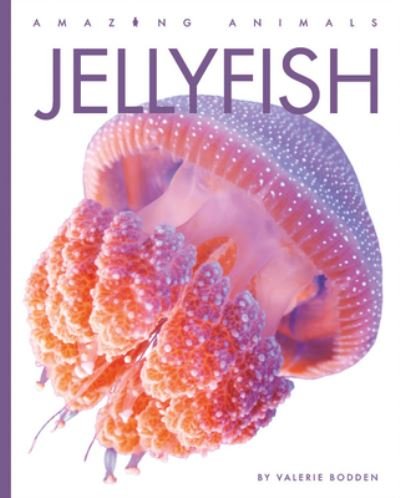 Cover for Valerie Bodden · Jellyfish (Bok) (2023)