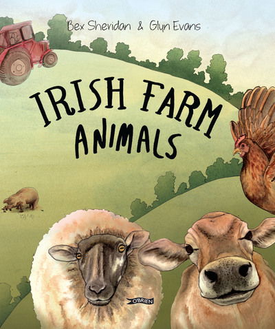 Cover for Glyn Evans · Irish Farm Animals (Gebundenes Buch) (2020)