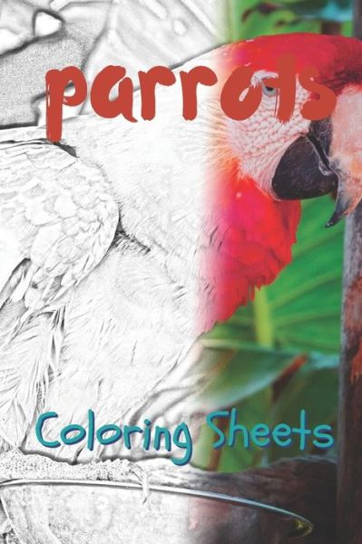 Cover for Julian Smith · Parrot Coloring Sheets (Paperback Book) (2019)