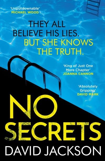 Cover for David Jackson · No Secrets: a totally gripping serial killer thriller from the bestselling author of Cry Baby (Paperback Bog) [Main edition] (2023)