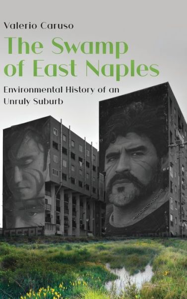 Cover for Valerio Caruso · The Swamp of East Naples (Hardcover Book) (2021)