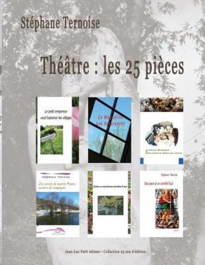 Theatre - Stephane Ternoise - Boeken - Jean-Luc Petit Editeur - 9782365417211 - 25 maart 2016
