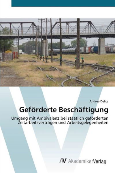 Cover for Delitz · Geförderte Beschäftigung (Book) (2012)
