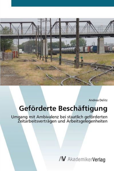 Geförderte Beschäftigung - Delitz - Books -  - 9783639436211 - July 3, 2012