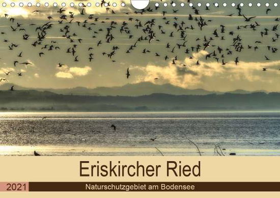 Cover for Brinker · Eriskircher Ried - Naturschutzg (Book)