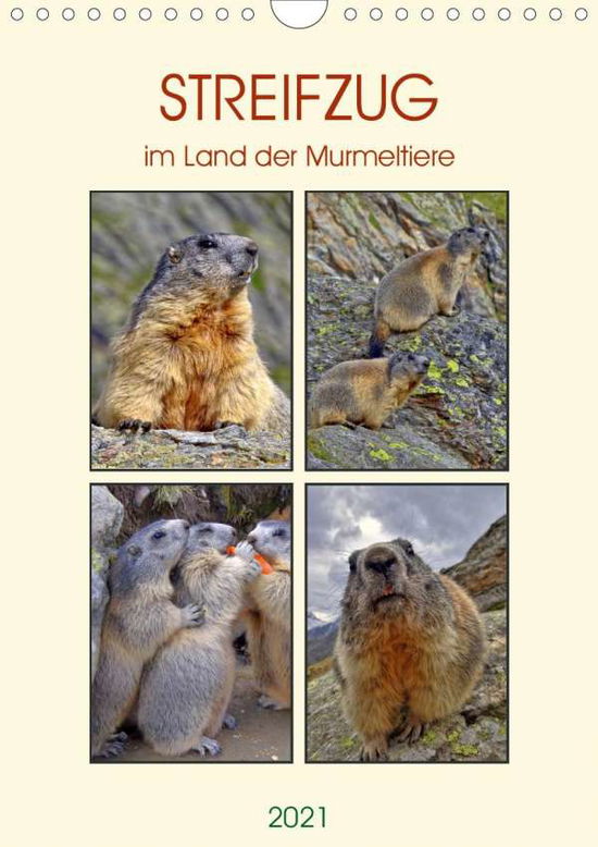 Cover for Michel · STREIFZUG im Land der Murmeltier (Book)