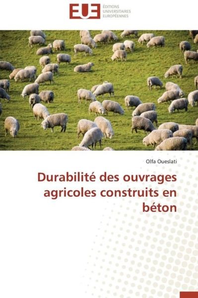 Cover for Oueslati Olfa · Durabilité Des Ouvrages Agricoles Construits en Béton (Paperback Book) [French edition] (2018)