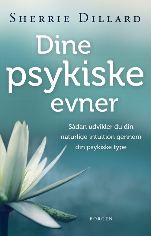 Cover for Sherrie Dillard · Dine psykiske evner (Heftet bok) [1. utgave] (2018)