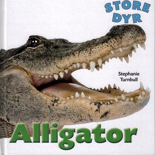 Store dyr: STORE DYR: Alligator - Stephanie Turnbull - Books - Flachs - 9788762724211 - October 5, 2015