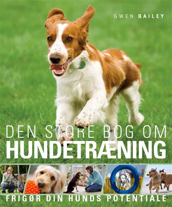 Cover for Gwen Bailey · Den store bog om HUNDETRÆNING (Poketbok) (2014)