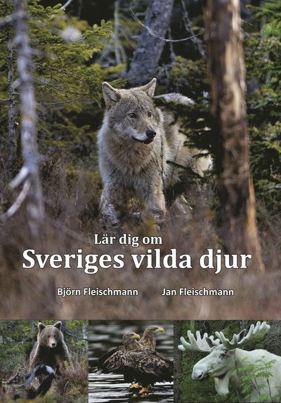 Cover for Jan Fleischmann · Lär dig om Sveriges vilda djur (Book) (2019)