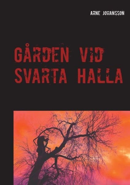 Cover for Johansson · Gården vid Svarta Halla (Bok) (2019)