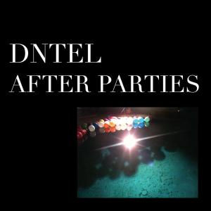 Cover for Dntel · After Parties 1 (LP) [Maxi edition] (2010)