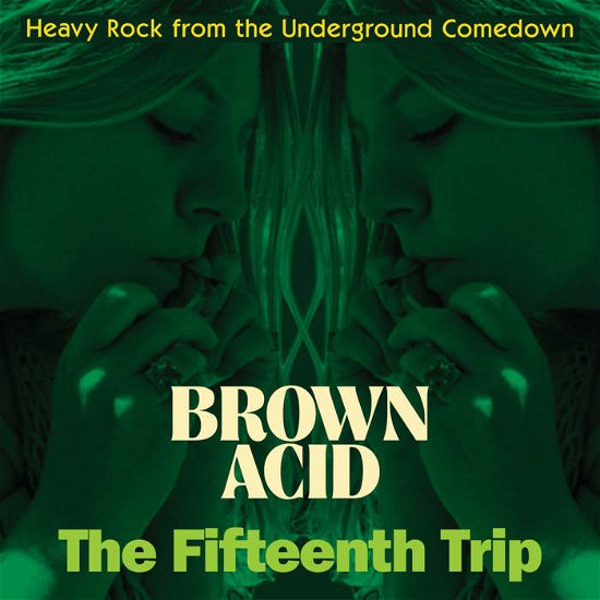 Cover for Various Artists · Brown Acid: The Fifteenth Trip (LP) (2022)