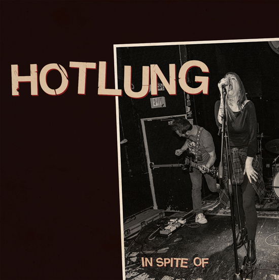 Cover for Hotlung · In Spite of (CD) (2024)