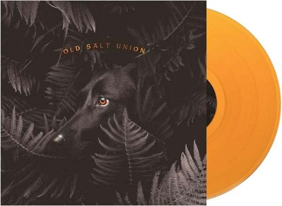 Where the Dogs Don't Bite - Old Salt Union - Musiikki - Compass Records - 0766397474212 - perjantai 16. elokuuta 2019